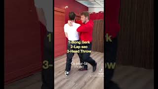 Best Wing Chun Expert  Apprends le Wing Chun kung fu fighting for beginners ipman wingchun [upl. by Isadore92]