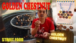 Golden Chestnut Jogja  Hartono Mall [upl. by Kirad230]