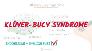 Kluver Bucy Syndrome detail explanation  Neuroaholics [upl. by Violette596]