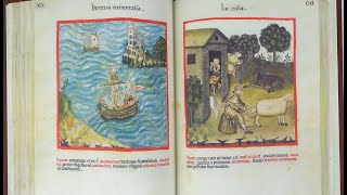 📗 Theatrum Sanitatis s XIV Biblioteca Casanatense Roma  Manuscrito Iluminado Medieval [upl. by Aenej]