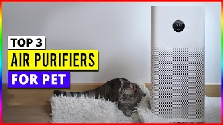 Best Air Purifiers For Pets in 2024 [upl. by Acinoj668]