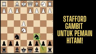 STAFFORD GAMBIT PEMBUKAAN CATUR MEMATIKAN UNTUK PEMAIN HITAM RATING AUTO NAIK [upl. by Papp]