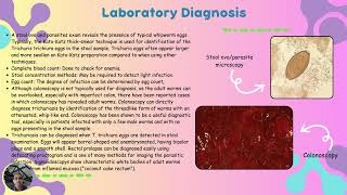 Trichuris Trichiura [upl. by Bunch]