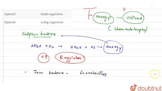 Chemoautotrophs derive their energy from [upl. by Gnof]