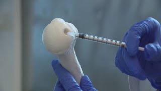 Chicago scientists develop revolutionary cartilage regeneration technology [upl. by Mccreery815]