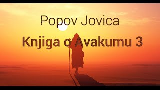 Popov Jovica  Knjiga o Avakumu 3 [upl. by Ativad]