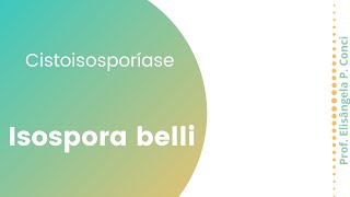 Cistoisosporíase isospora belli [upl. by Eniamrehs]