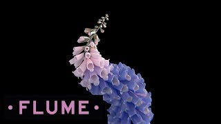 Flume  Like Water feat MNDR [upl. by Siletotsira]