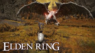 ELDEN RING gameplay cz  27  Unsightly Catacombs Perfumers Ruins [upl. by Chemar]