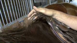 Saddle Fitting in 9 Steps  Step 9  Saddle Tree Width  by Schleese Saddlery Service [upl. by Childers]