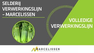 Selderij Verwerkingslijn – Marcelissen [upl. by Sedruol]