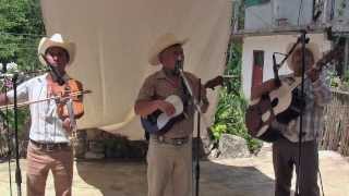 Vinuete Tradicional  Huasteca  Amayo Huaxuco y Petatillo Xilitla [upl. by Edora71]