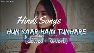 Hum Pyaar Hai Tumhare  Haan Maine Bhi Pyaar Kiya  Kumar SanuAlka Yagnik  2024 SlowedReverb [upl. by Nims]