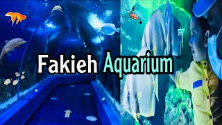 Fakieh Aquarium  The biggest Fakieh Aquarium 🐠at Saudi Arabia  Adduha Unique World [upl. by Erickson372]