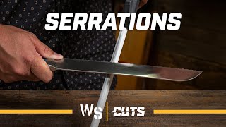 How to Sharpen a Serrated Knife  Use a Honing Steel or Ceramic Hone [upl. by Lipinski]