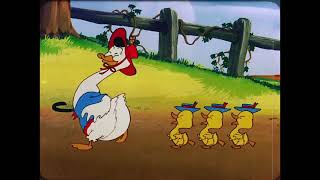 Noveltoons Quack A Doodle Doo 1950 ft Baby Hueycartoon love Fun Kids ShowFullMovie [upl. by Knick]