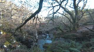 Bracklinn Falls Bridge in Callander on 20241112 at 1242 on Visinse VR180 [upl. by Mandell]