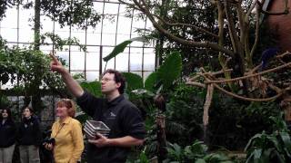 Rainforest Morning Feeding at National Aviary 21112 [upl. by Mosera292]