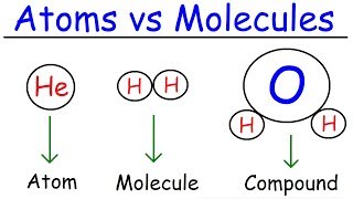 Elements Atoms Molecules Ions Ionic and Molecular Compounds Cations vs Anions Chemistry [upl. by Ertha]