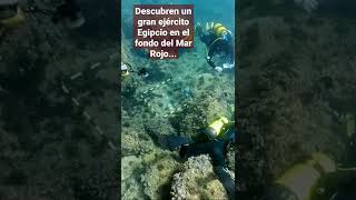 Arqueólogos descubren en el Mar Rojo los restos del ejército egipcio del éxodo bíblico [upl. by Llednav541]