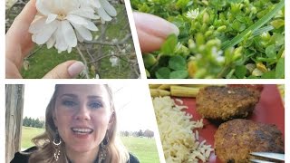 Spring Day Vlog and CabbageMeat Patties [upl. by Addi]