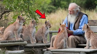 Little Lynx Cubs Surround Man Just Watch What Happens Next Its Unbelievable [upl. by Franklyn]