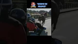 Horse de France 🐎 Source Video 1997 Criterium International shorts [upl. by Atteiluj]