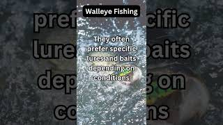 Walleye Facts 11 [upl. by Ahsik900]