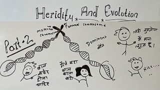 heredity and evolution class 10 part 2 GKP  class 10 science chapter 9 heredity and evolution [upl. by Hashum935]