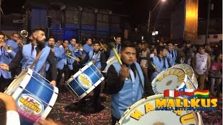 Banda Internacional Mallkus  Carnaval Andino Iquique  2017 [upl. by Helen]