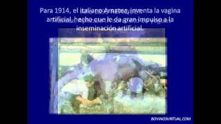 INSEMINACION ARTIFICIAL EN BOVINOS  DATOS HISTORICOS [upl. by Weinreb644]