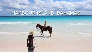 Harbour Island Bahamas Things To Do  Horseback Rides  Sea Turtles  Sapphire Blue Hole [upl. by Wait]