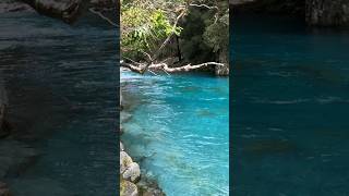 UNBELIEVEABLE Water Fly Fishing in New Zealand [upl. by Frodin]