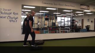 Total Core Workout with DVRT Ultimate Sandbag Training Crawling [upl. by Ahsiemal]