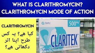 Claritek Clarithromycin 500MG Uses amp Side Effects In Urdu Hindi  Clarithromycin Mode Of Action [upl. by Alphonse]