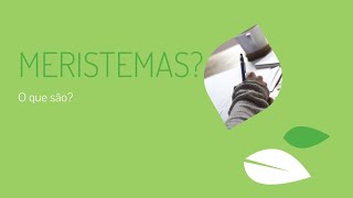 Aula 17  Meristemas [upl. by Naves63]