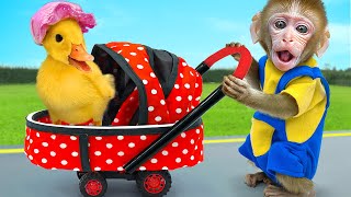 KiKi Monkey try taking care of cute Duckling challenge and go shopping MampM Candy  KUDO ANIMAL KIKI [upl. by Gus552]