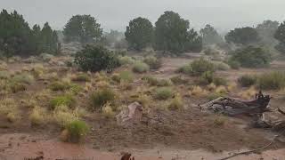 N Arizona Monsoon [upl. by Beverie]