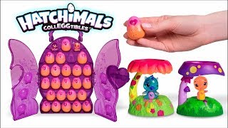 Coffret Collector Hatchimals CollEGGtibles [upl. by Htur258]