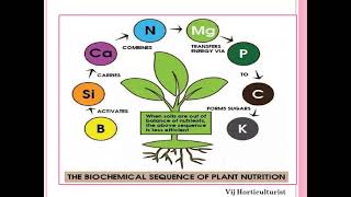 Lecture 12 PLANT NUTRITION ESSENTIALITY MECHANISM OF ABSORPTION AND ITS ROLE IN PLANT METABOLISM [upl. by Amalita]