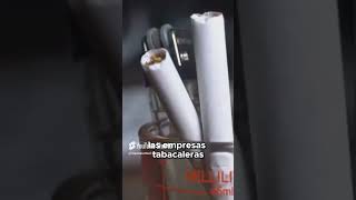 Tabaco La Gran Mentira Detrás del Vicio curiosidades misteriosocultos historia [upl. by Nylak597]