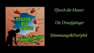 Die Draufgänger  Pfusch die Mauer  Cover [upl. by Ree]