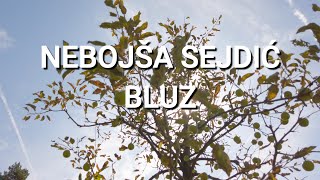 Nebojša Sejdić  Bluz Blues Official video [upl. by Nolos404]