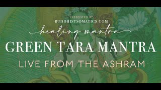 Green Tara Mantra Live from the Ashram [upl. by Boonie293]