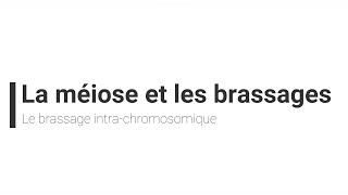 eSVT La méiose et le brassage intrachromosomique [upl. by Tallulah]