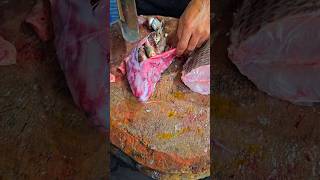 fish stomach cutting trending fishcutting viralvideo food seafood shots shorts fishing [upl. by Inacana]