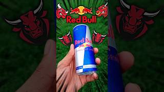 Trying Red Bull 🐂redbullshortsfoodvlogviralshortschallengetrendingyoutubeshortsytshorts [upl. by Inot]