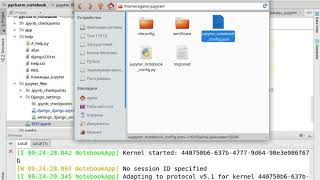 Настройка Pycharm  Jupyter Notebook Windows Linux Видео для тех кто делает по моим курсам [upl. by Fidel462]