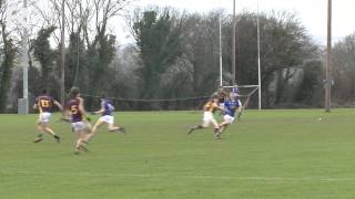 Wexford GAA TV  Declain Murphys goal versus Wicklow OByrne Cup Jan 2015 [upl. by Cleavland381]