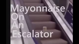 Mayonnaise On A Elevator [upl. by Noned]